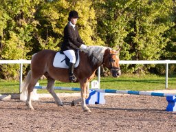 IMG_7615_web